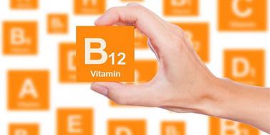 B12 Vitamini Bitkisel zm