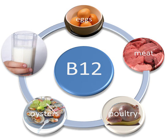 Vitamin B12 Normal Değerleri
